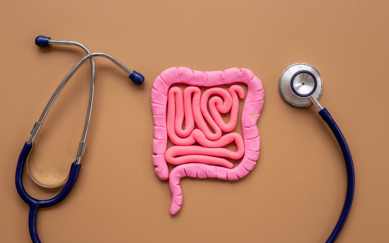 Read more about the article Difference Between Probiotics and Prebiotics: Must-Know